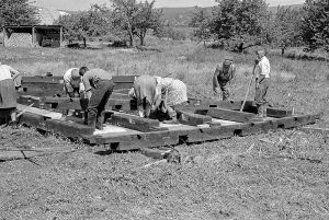 A nemesborzovai harangláb építésének előkészítése. Fotó: Janovich István, Szabadtéri Néprajzi Múzeum