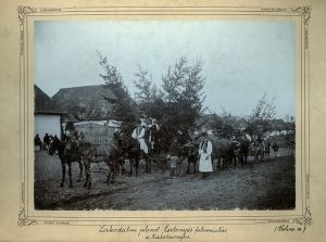 Lakodalmas menet – óriási, örökzöld levelű fákat szállító, négyes lovas- és bivalyfogatokkal. Bánfyhunyad, Kolozs vm. Dunky fvérek felvétele, 1895.