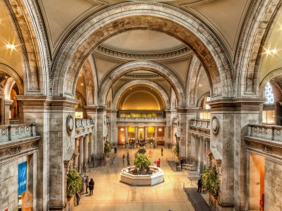 The Metropolitan Museum of Art