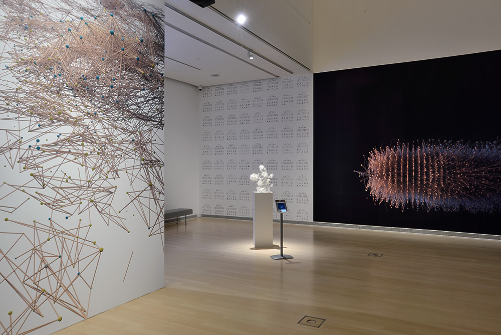 A BarabásiLab: Rejtett mintázatok című kiállítás részlete Fotó: Rosta József / Ludwig Múzeum – Kortárs Művészeti Múzeum
