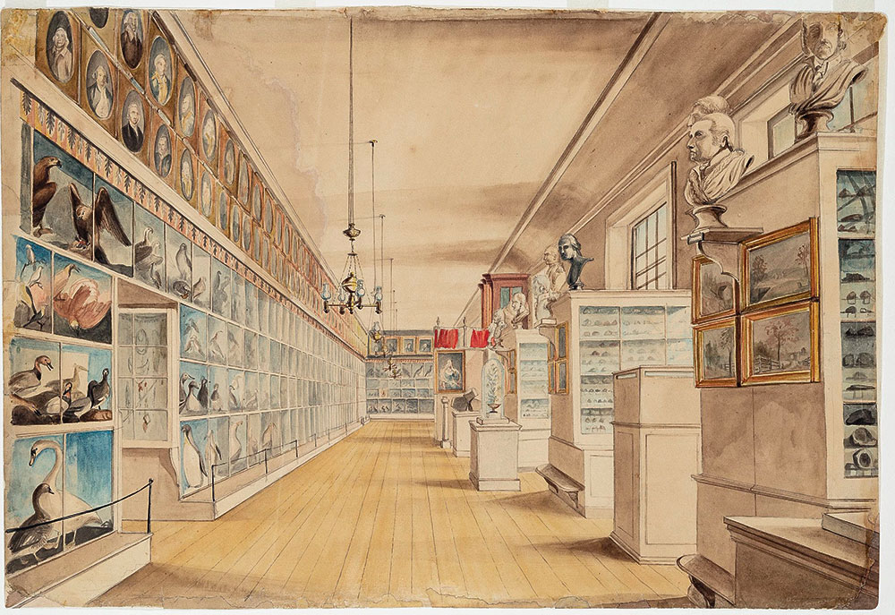 A Peale Museum „hosszú galériája”, 1822